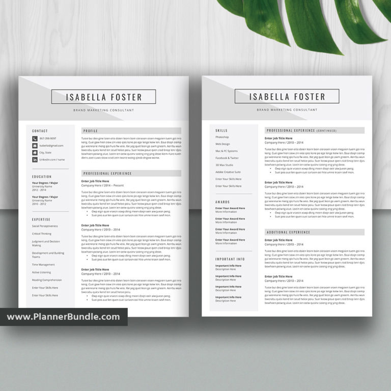 Modern Resume Template For Ms Word Job Cv Template Editable Resume
